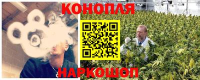 сатива Комсомольск-на-Амуре