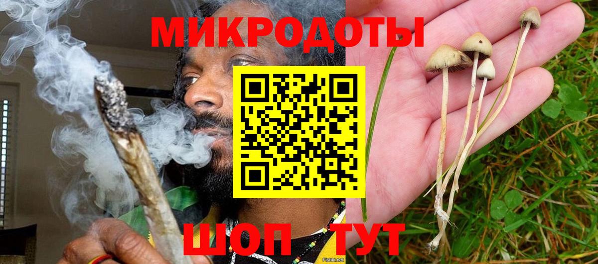 Керчь  Галлюциногенные грибы Magic Shrooms  Галлюциногенные грибы Psilocybe  Вход с VPN 